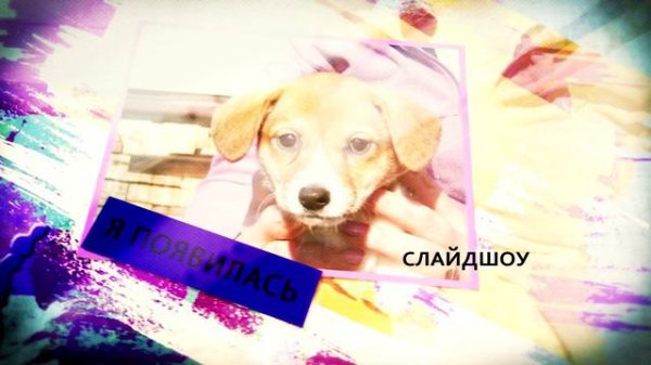 видеомейкер