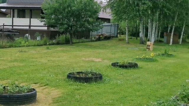 Вторая половина лета и осень уже близко.mp4 смотреть онлайн