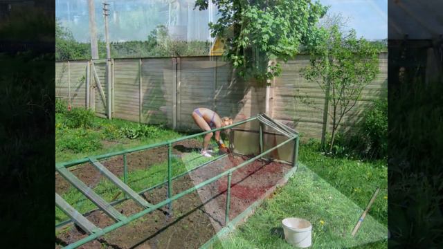 Русские дачницы во всей красе/Russian summer residents in all their glory смотреть онлайн
