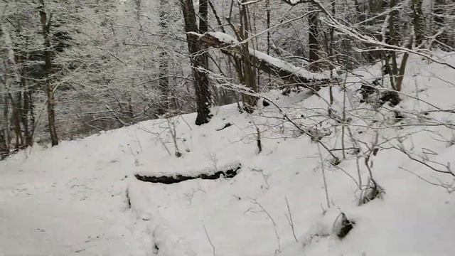 Хорошо в лесу смотреть онлайн