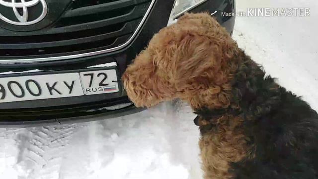 Сбежала / Истории от Беты / Beta Show смотреть онлайн