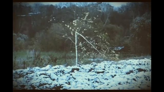 Страшилка: Чёрный дембель смотреть онлайн