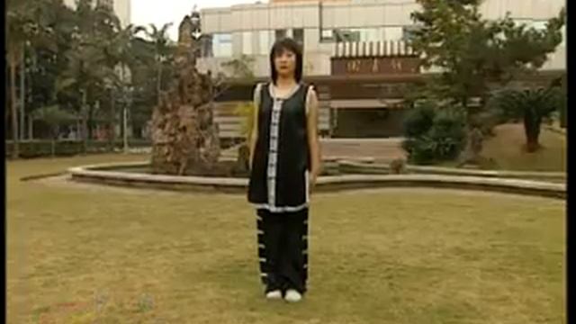 [Kung Fu] Стиль змеи Шэсинцюань (蛇風格). Part 5