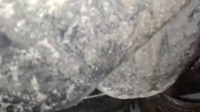 шум первичного вала смотреть онлайн