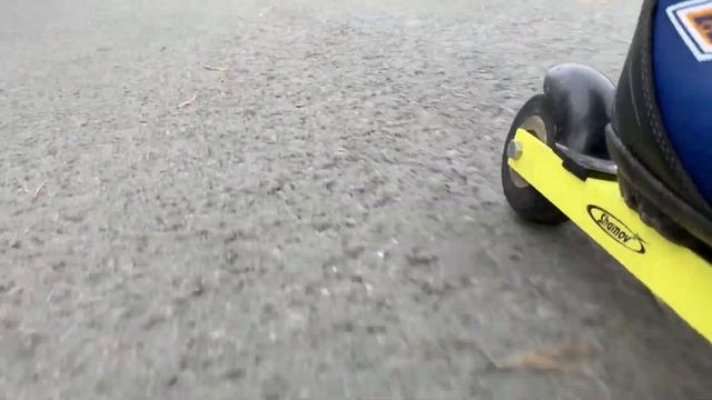 Счастье для лыжника. Катаемся на роллерах вдоль озера Лебяжье. смотреть онлайн