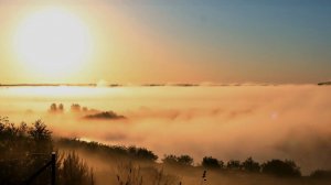 Утро на краю мировой культуры