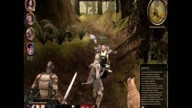 dragon Age начало #5 эльфы смотреть онлайн