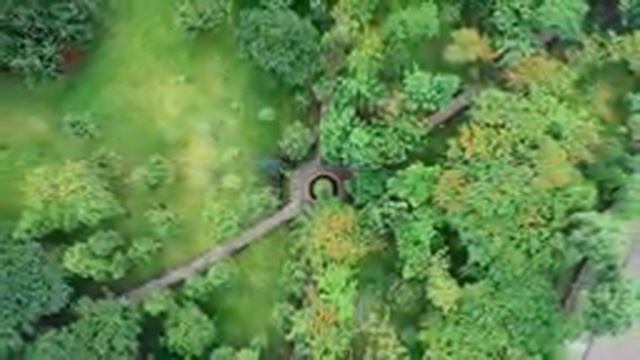 послушайте эту музыку и вам станет легче?Нежная музыка, успокаивает нервную систему и радует душу смотреть онлайн