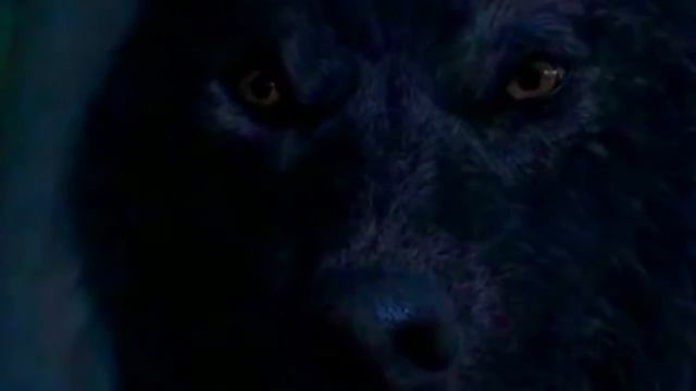 "Одержимая Луной: Песнь Полуночи" смотреть онлайн