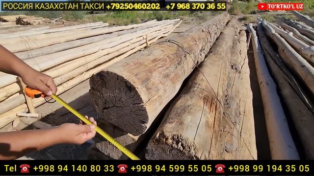 2 сентября 2023 г. ТУРТКУЛЬ ЁГОЧ НАРХЛАРИ смотреть онлайн