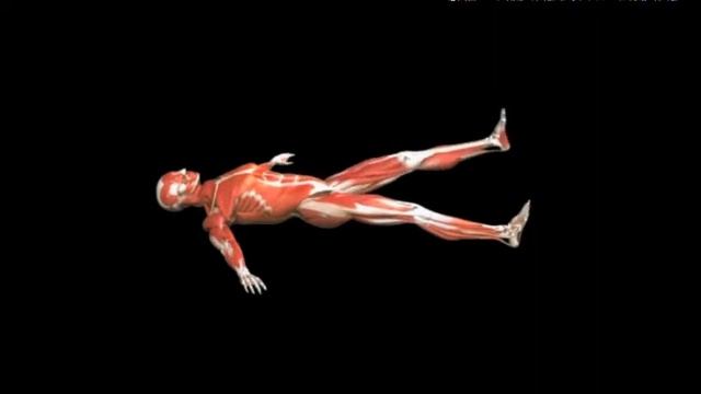 Растяжка бедра в положении лежа с перекатыванием Hip stretch Lying Rollover смотреть онлайн