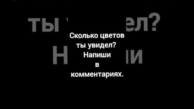 Игра "Угадай сколько цветов" смотреть онлайн