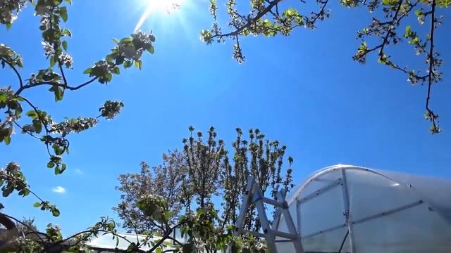 НАРЯДИЛИ ТЕПЛИЦУ. ГЛУПАЯ Я БАБА) РОЕМ ЯМКИ. ВЕЧЕРНИЙ ПРОМЕНАД. ПЕРЕЕЗД ИЗ СИБИРИ НА ЮГ. смотреть онлайн