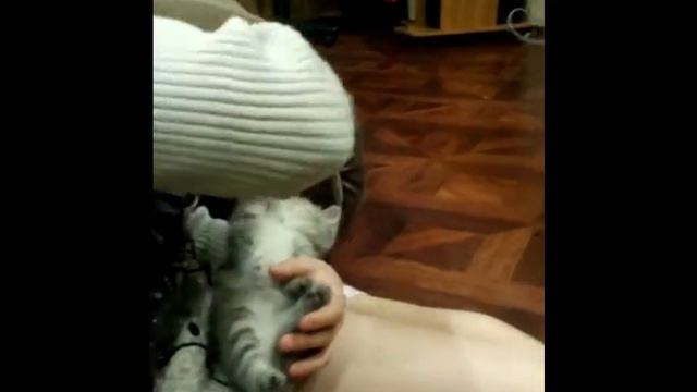 Завели Котенка))))))))) смотреть онлайн