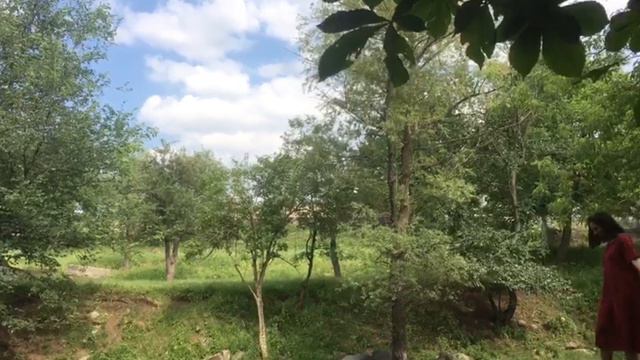 Душевная, мелодичная песня о жизни, о родных местах. «Унесите меня» смотреть онлайн