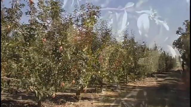 Descompactador Bellota смотреть онлайн