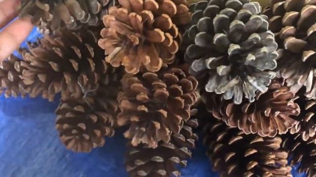 3 Feet DIY Pinecone Christmas Tree|Christmas Decoration Ideas|Rustic Home Decor смотреть онлайн