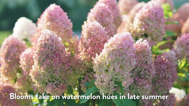 30 Seconds with Quick Fire Fab® смотреть онлайн