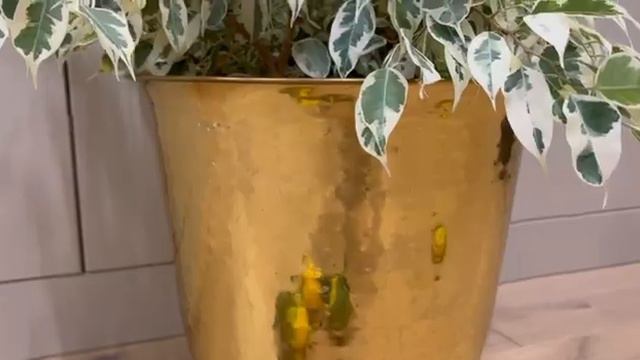 Латунное кашпо смотреть онлайн