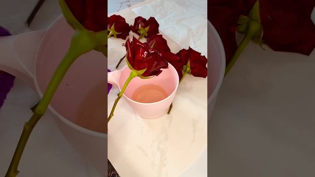 ??? теперь не нужно выбрасывать цветы / нашла простой способ смотреть онлайн
