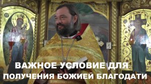 Важное условие для получения Божией благодати. Священник Валерий Сосковец