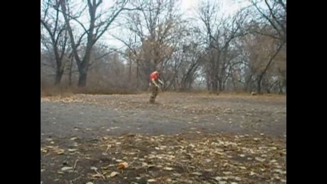 Дрессировка Стаффтерьера Non Stop. Работа на площадке смотреть онлайн