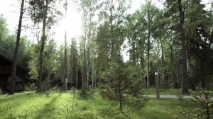 Экоотель "Романов лес", Костромская область