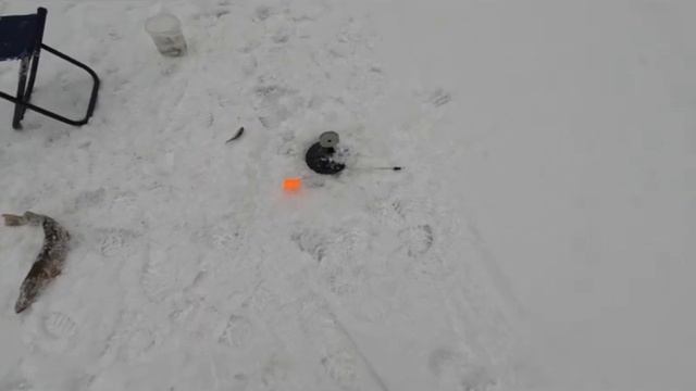 РЫБАЛКА НА ЖЕРЛИЦЫ, ЩУКИ ЛЮТУЮТ!МОЖАЙСКОЕ ВОДОХРАНИЛИЩЕ смотреть онлайн