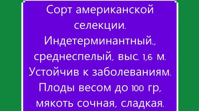 Каталог томатов на 2024 г.  Часть 5 . г. Киров