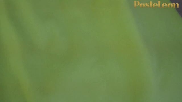 Обзор пледов из шерсти ягненка линии Regent от немецкого производителя Steinbeck смотреть онлайн