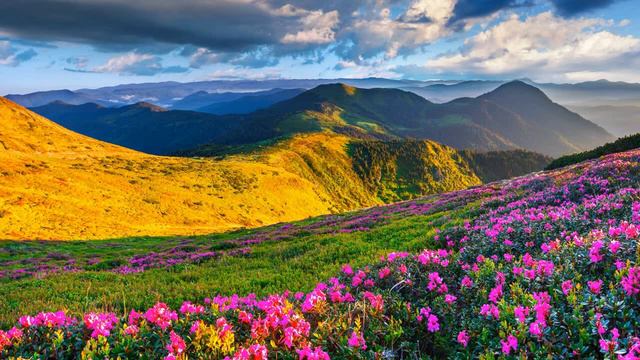 РЕКИ ЛЮБВИ! Темур Одинаев смотреть онлайн