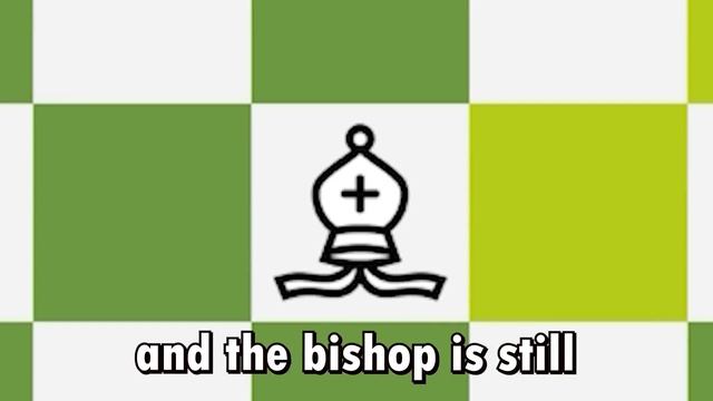 When Horsey TRIPLE Forks