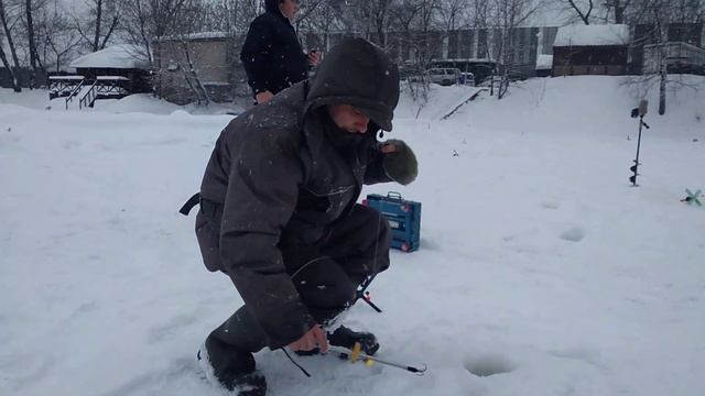 КРХ Белая Дача 7.02.22 Ежедневный запуск форели 110 кг.! смотреть онлайн