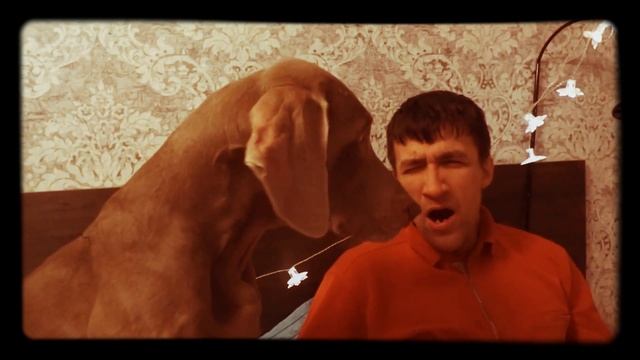 Заразительное зевание. Животные зевают вслед за своим хозяином. смотреть онлайн
