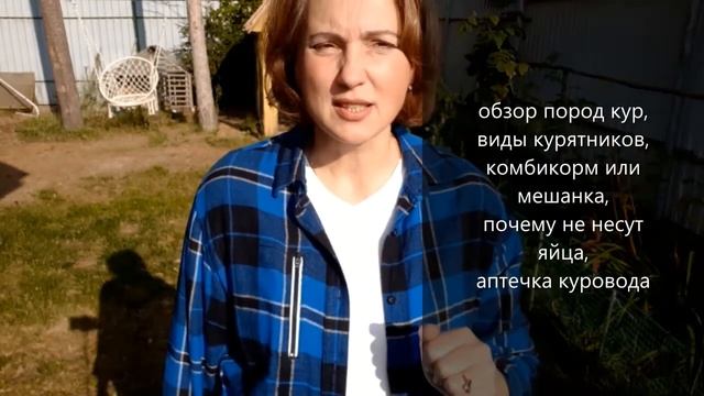 Куры- обучение бесплатно 