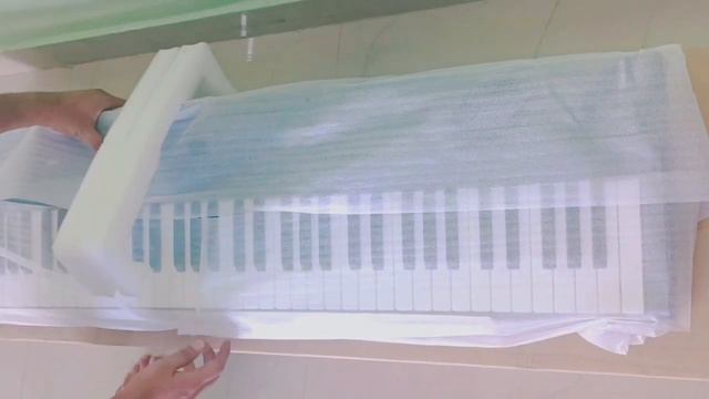 Finally Bought My New Piano | Korg Liano | Unboxing смотреть онлайн
