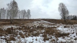 СТРЕЛЯЕМ С РУЖЬЯ ИЖ-27 1981 ГОДА ПО БУТЫЛКАМ