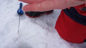 Необычные способы ловли форели зимой