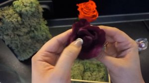 Результат стабилизации цветов в глицирине дома спустя год # Вечные розы # Стабилизированный мох