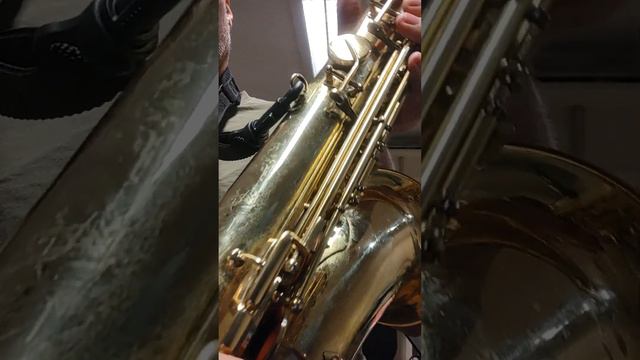 Chinese mark VI inspired tenor from the 1990's "Parrot" a cute birdy. смотреть онлайн