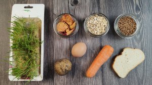 Чем кормить уток ? на пруду, в городе