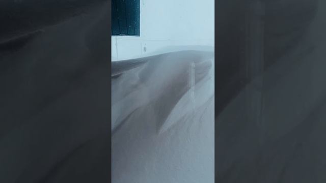 Метель 24.01.2024. Южно-Сахалинск. Часть 6