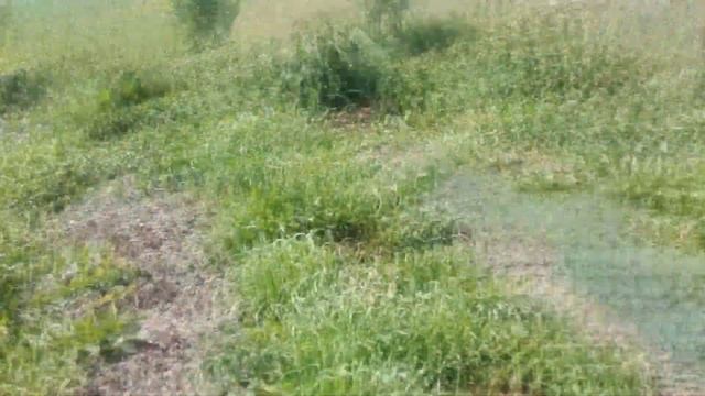 ОГОРОД ДЛЯ ЛЕНИВЫХ смотреть онлайн