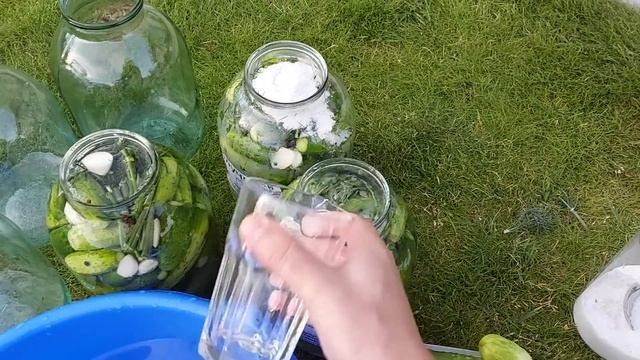 з Марком квасимо огірки смотреть онлайн