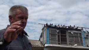 О торцовом стиле полета голубей, Кременской. Часть 2.