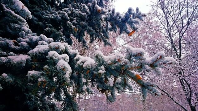 Рябина в сахаре смотреть онлайн