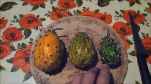 Кивано - выращивание, урожайность, дегустация. Мелано и рогатая дыня.