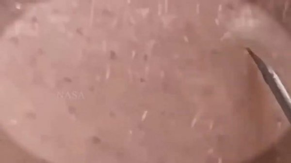 مهارة الحماية NASA168