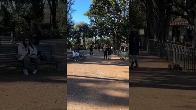 Scenic park in Rome, Villa Borghese @ Rome, Italy #italy #rome #colloseum #villaborghese смотреть онлайн