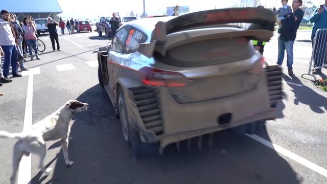 Day 4 - Rally Chile 2019 - L. Bertelli / S. Scattolin - Ford Fiesta WRC+ смотреть онлайн